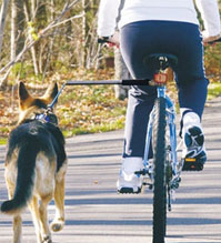 Biking with Your Dog