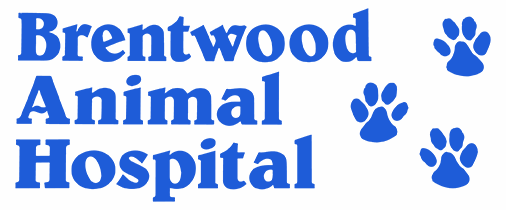 Brentwood Animal Hospital