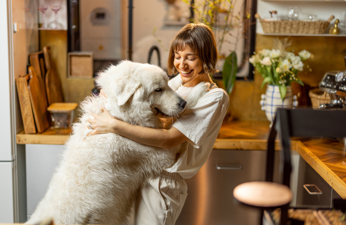 Pawsitive Dance Moves: Embracing the Joy of Dancing with Your Dog