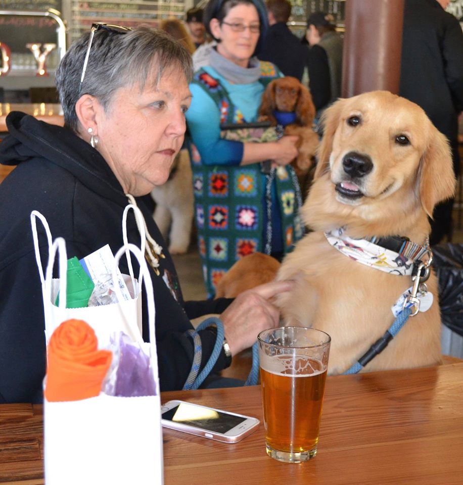 Dog Friendly Breweries