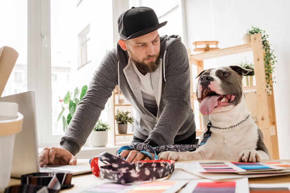 Working from Home with Pets