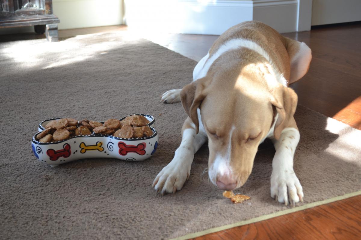 Choo Choo Charlie's Gluten-Free Peanut Butter and Banana Dog Treat Recipe