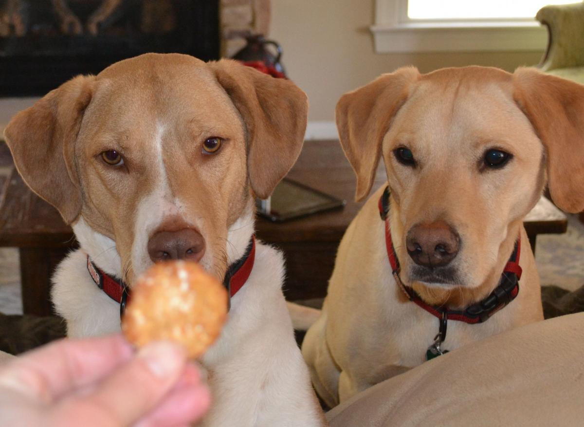 Choo Choo Charlie's Gluten-Free Peanut Butter and Banana Dog Treat Recipe