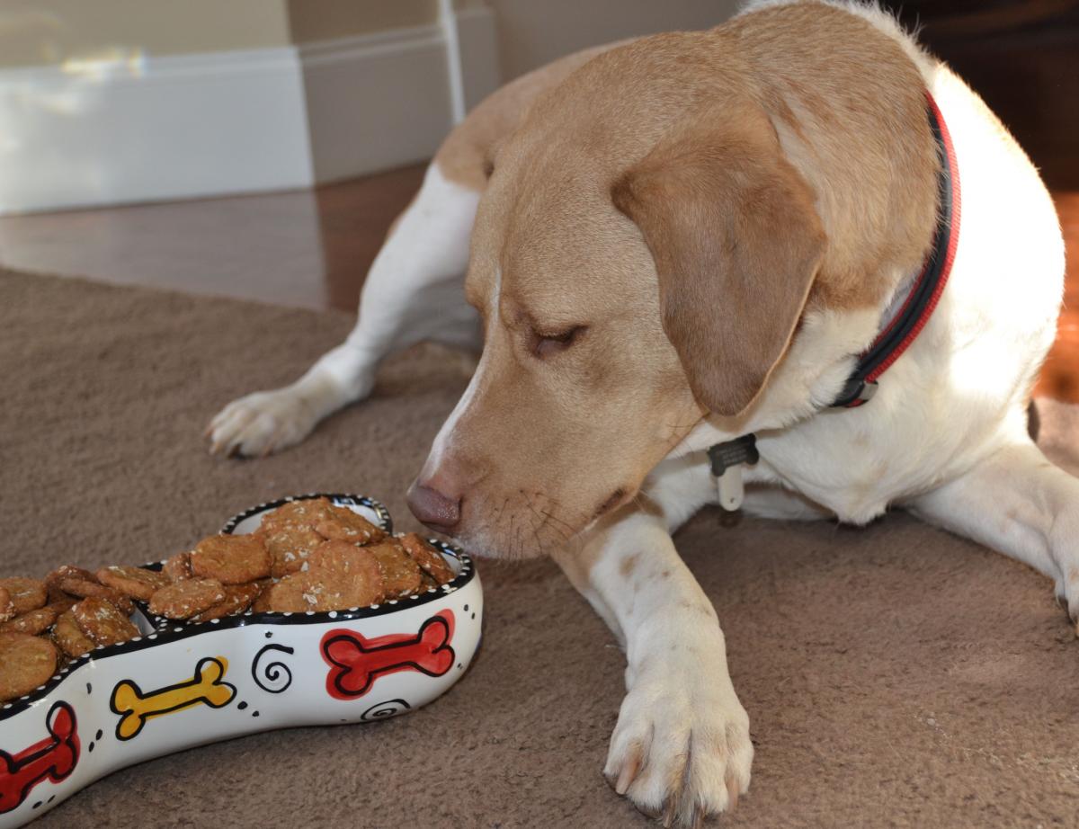 Choo Choo Charlie's Gluten-Free Peanut Butter and Banana Dog Treat Recipe