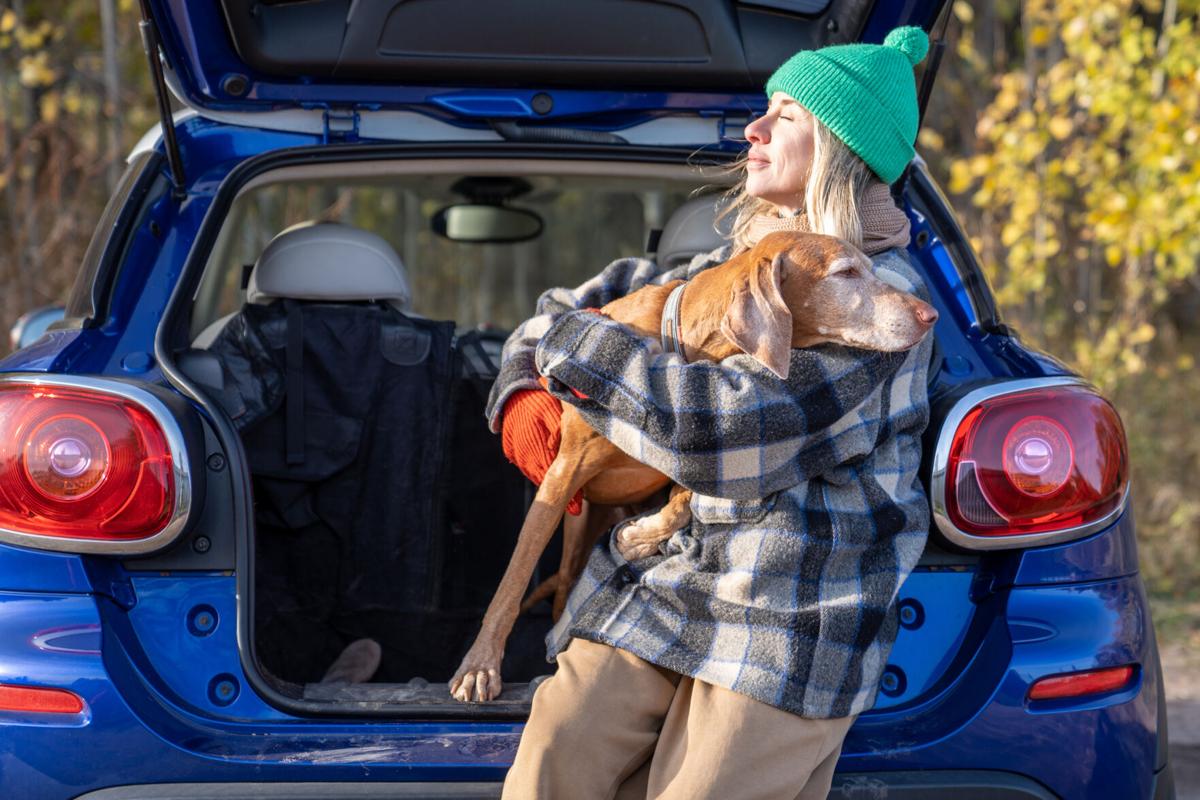 Senior Pet Travel: Ensuring Safety and Comfort on the Road