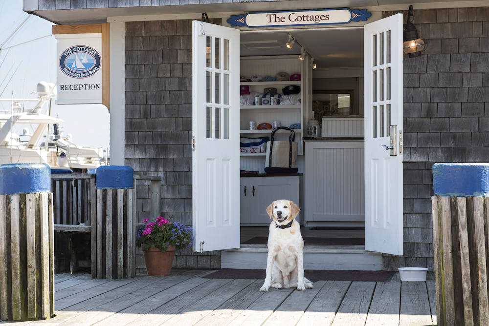 The Cottages at Nantucket Boat Basin